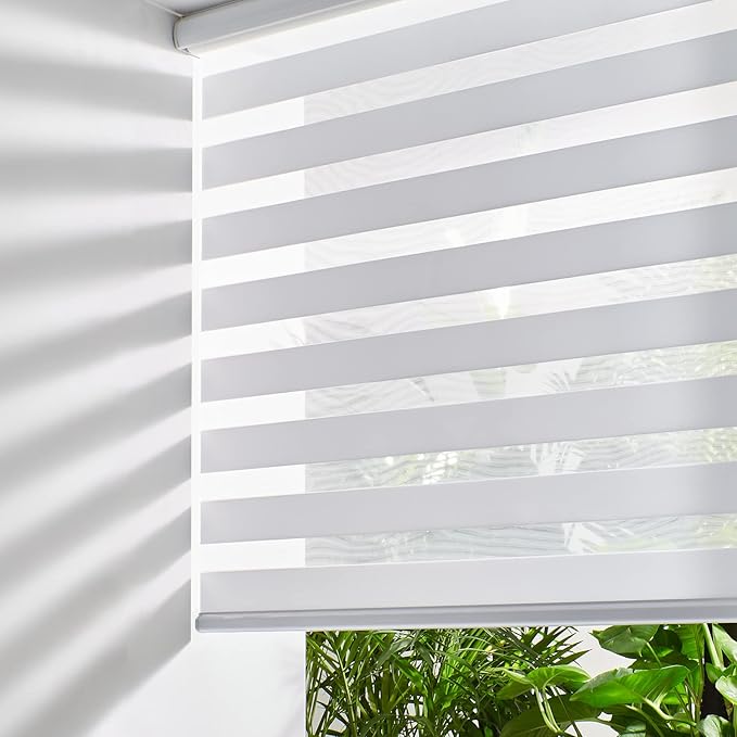 Zebra dual-sheer roller blind on a window